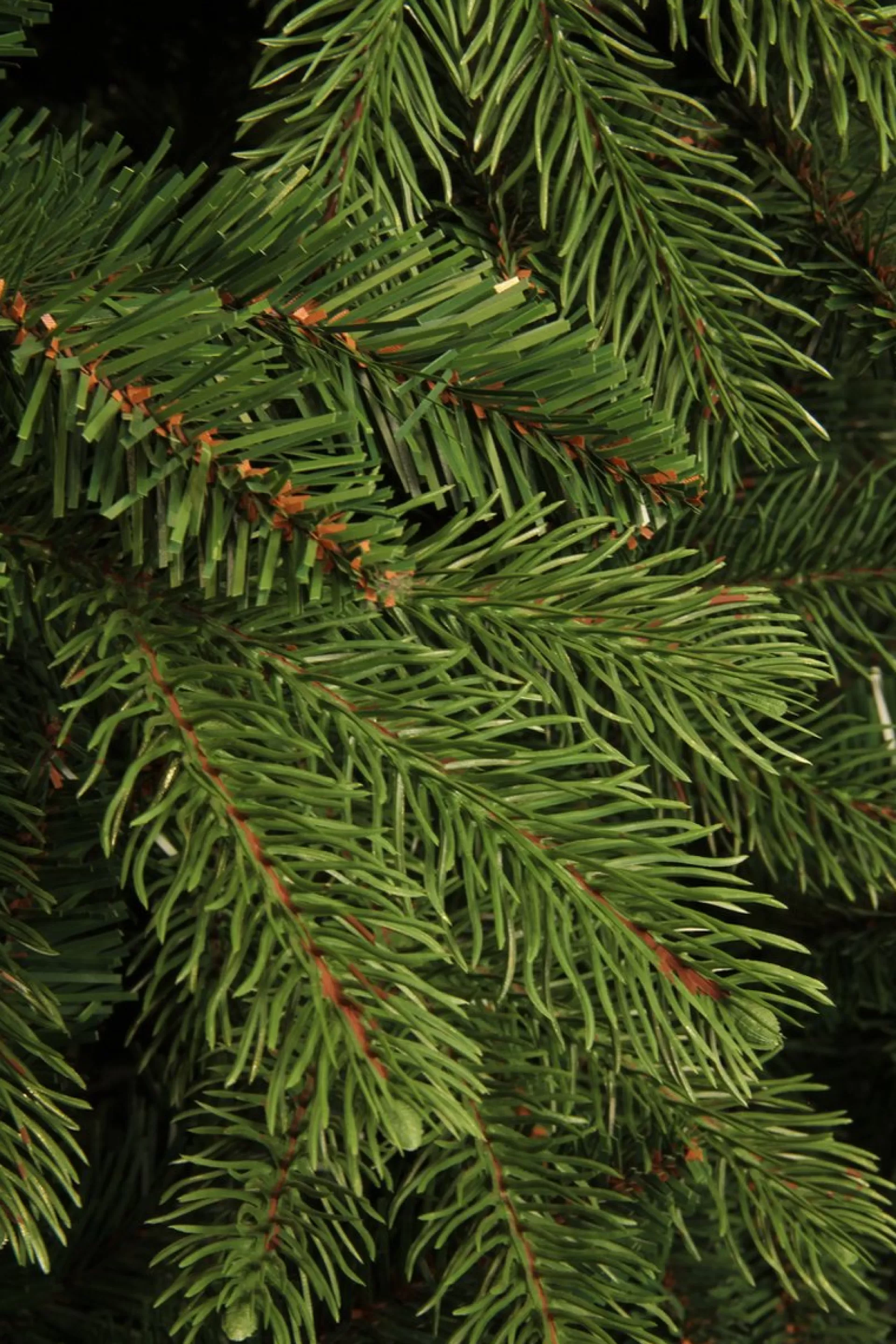 Black Box Trees Brampton Kunstkerstboom Smal - H215 X O125 Cm - Groen Shop