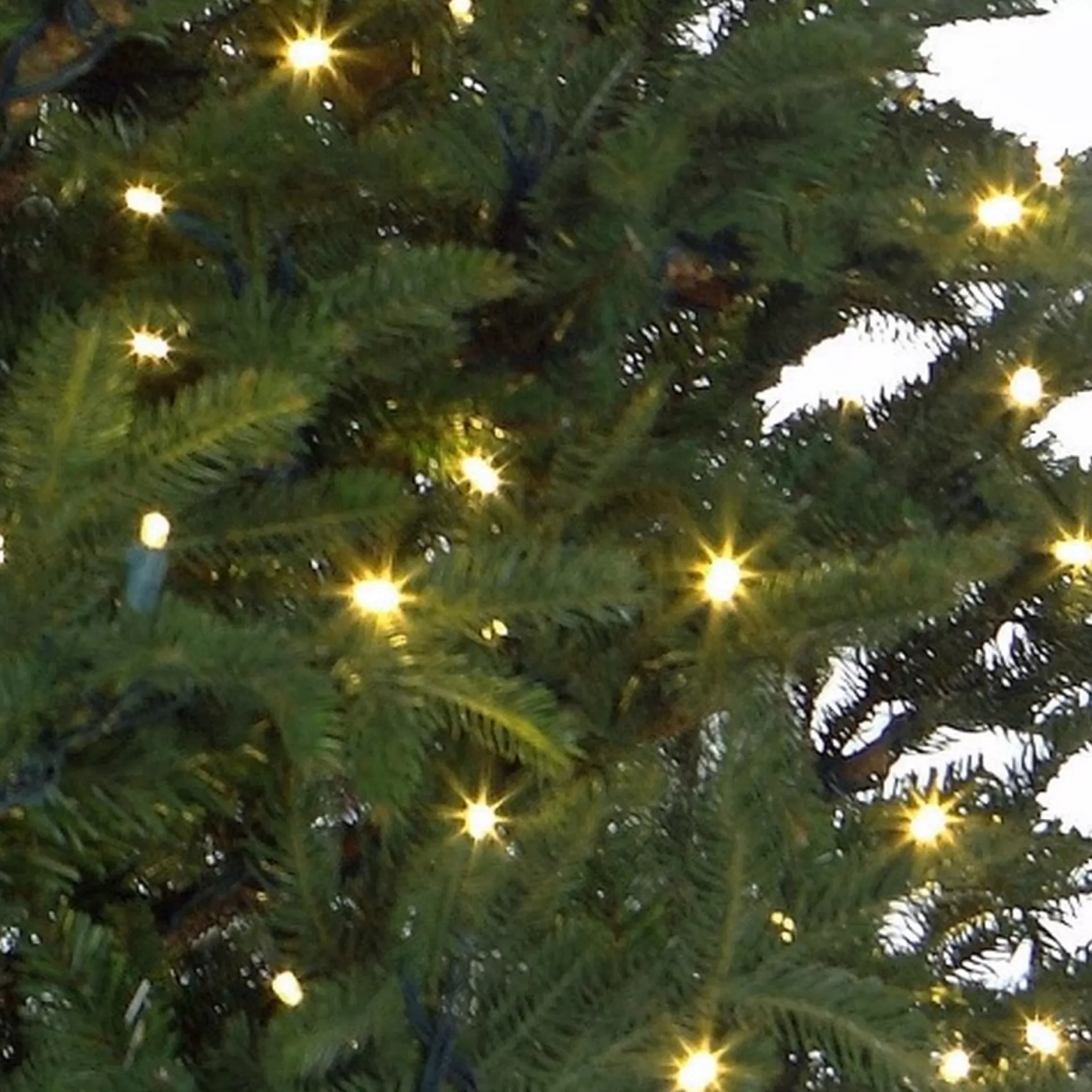 Black Box Trees Frasier Kunstkerstboom Met Led Verlichting - H185 Cm - Groen Cheap
