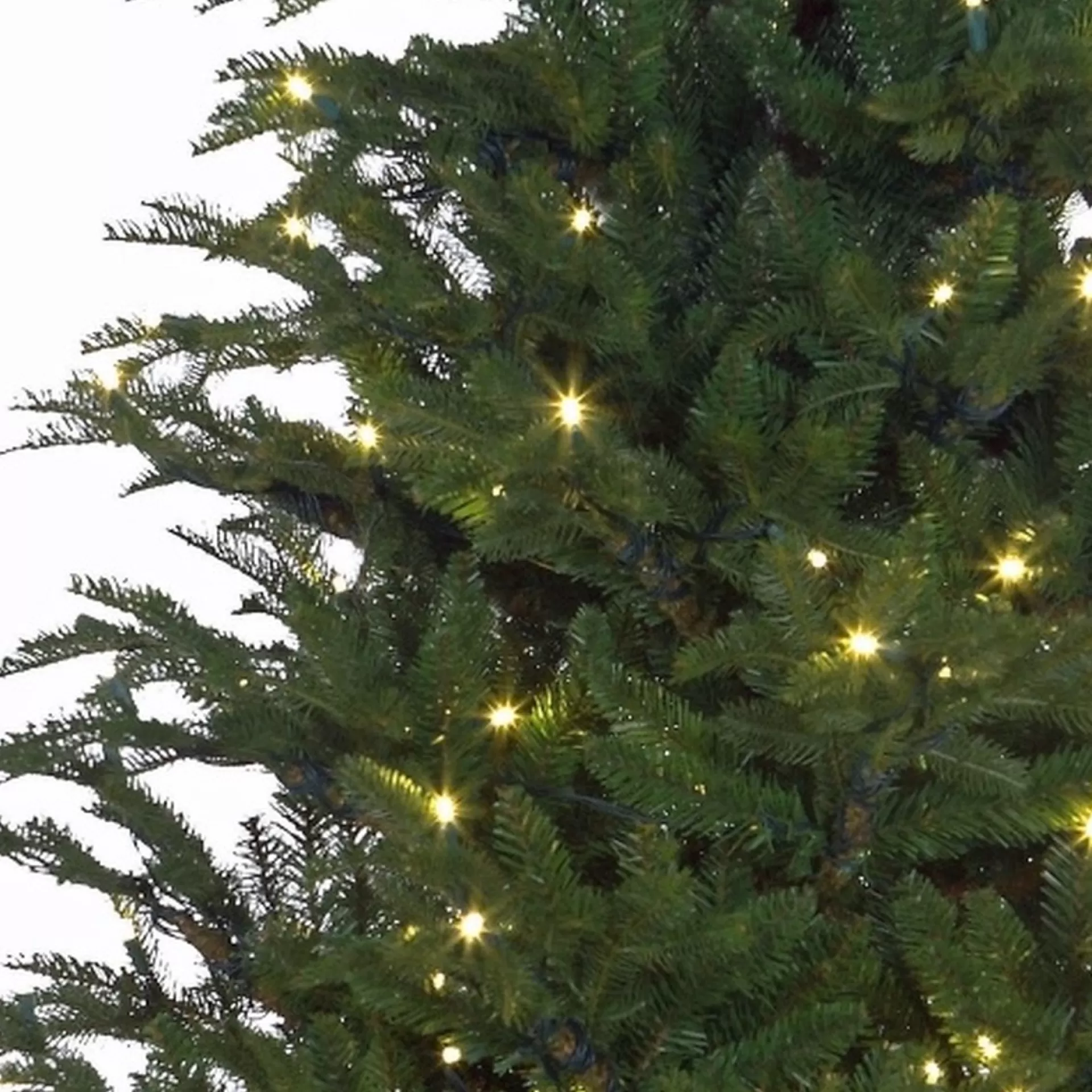 Black Box Trees Frasier Kunstkerstboom Met Led Verlichting - H185 Cm - Groen Cheap