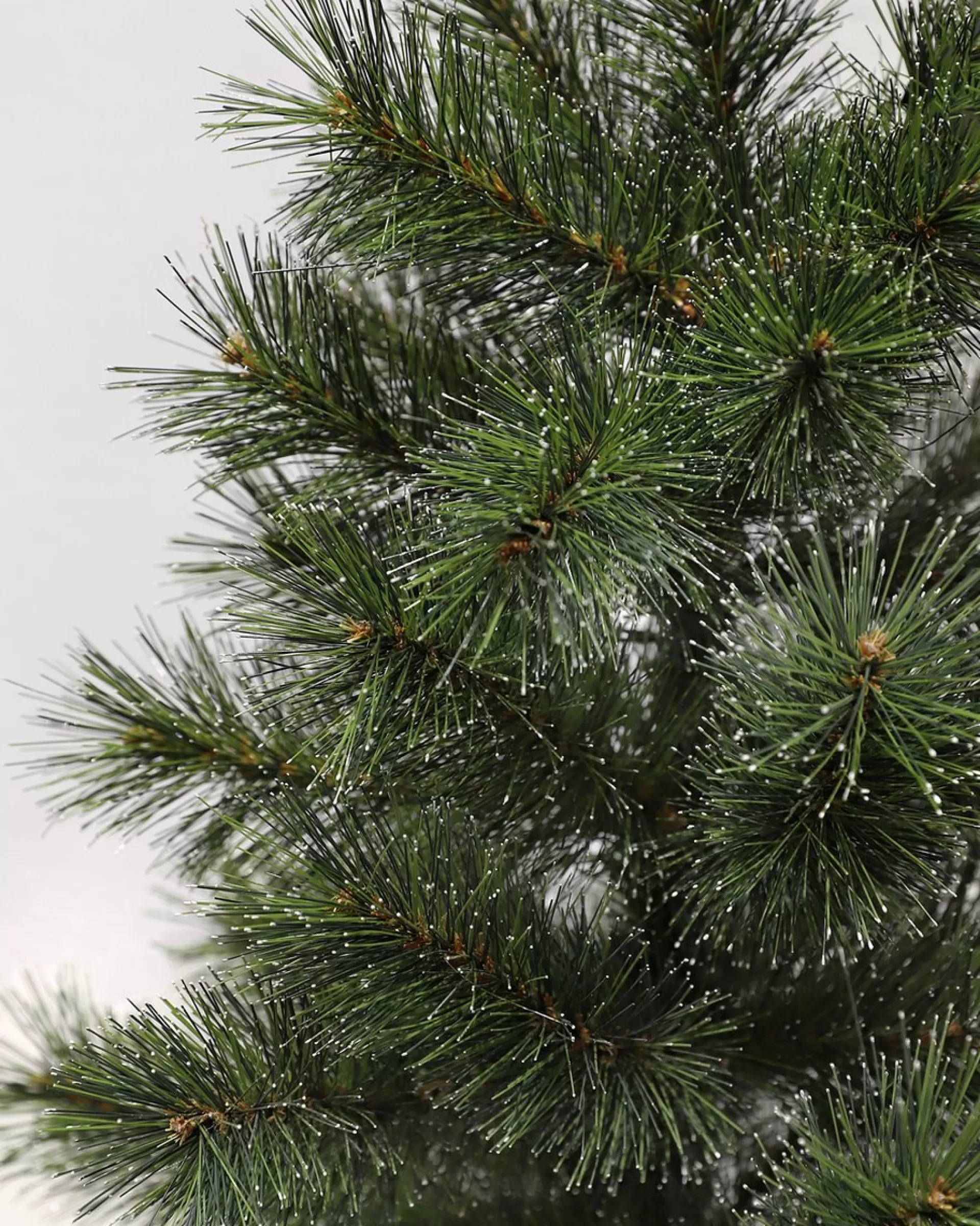 Black Box Trees Glendon Kunstkerstboom In Pot - H90 X O51 Cm - Groen Discount