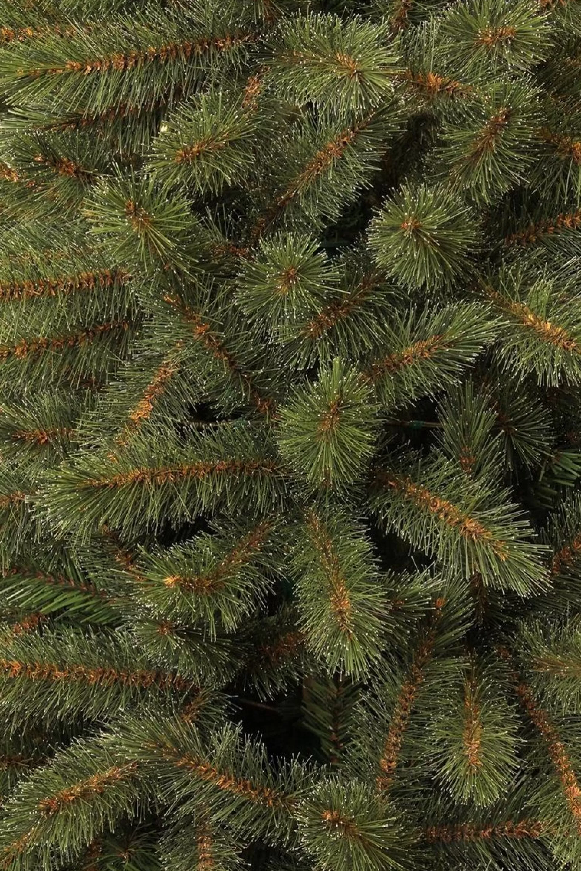 Black Box Trees Toronto Kunstkerstboom Deluxe - H215 Cm - Groen Outlet
