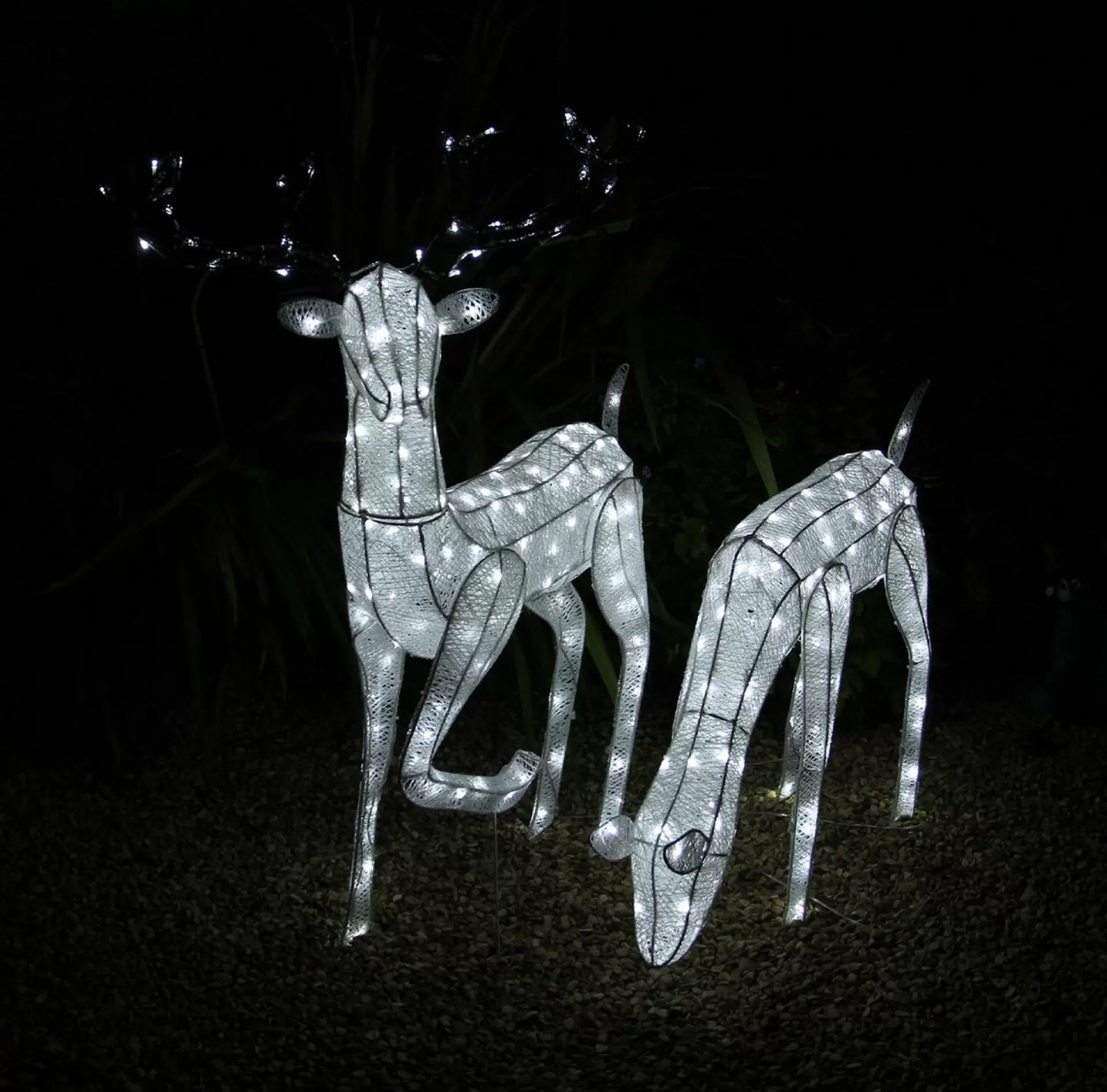 MonsterShop Bundel: Lichtgevend Rendier En Hert - Verlichte Kerstfiguren - 12 Meter Lange Stroomsnoeren - Gratis Bevestiginskits Flash Sale