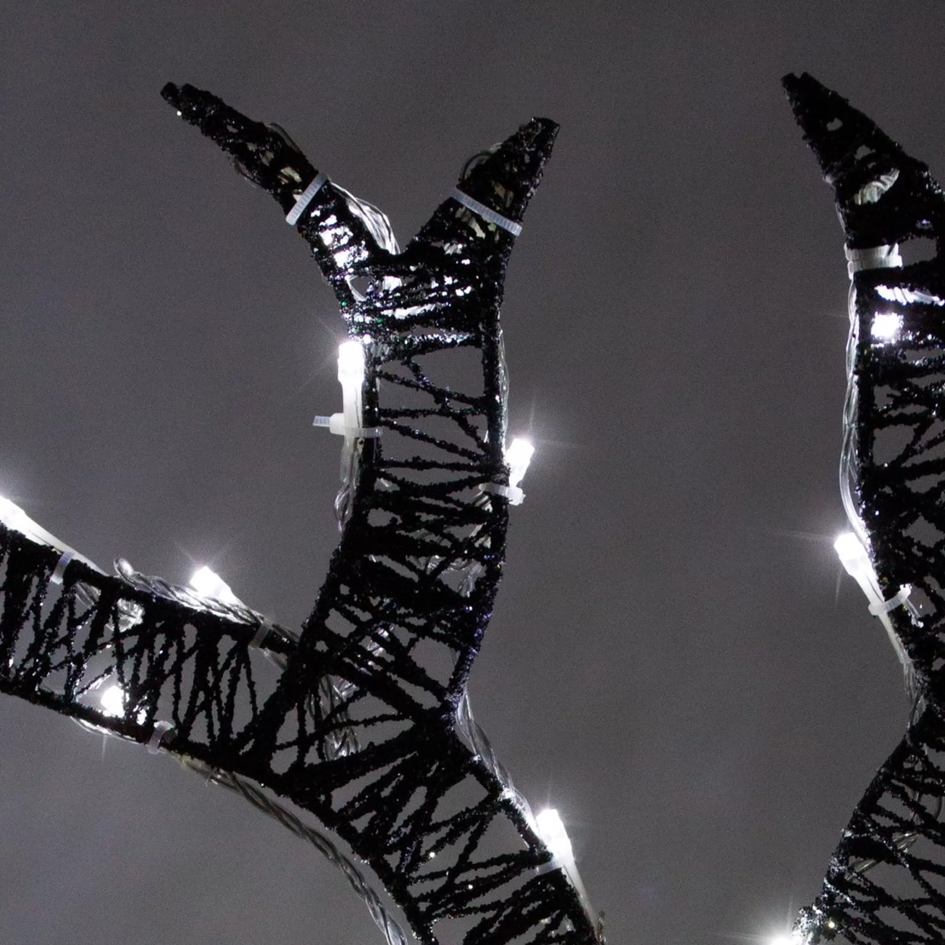 MonsterShop Bundel: Lichtgevend Rendier En Hert Verlichte Kerstfiguren - 12 Meter Lange Stroomsnoeren - Kerstdecoraties Kerst Versieringen Buiten Hot