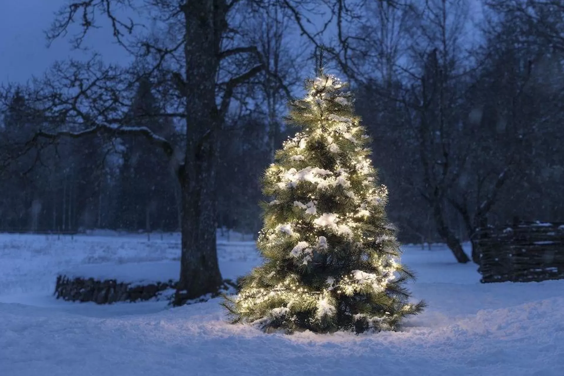 Konst Smide Clusterverlichting Voor Binnen En Buiten - 8 Functies - 1536 Leds – 2100K Amber – 11,3 Meter – Kerstverlichting – Ip44 – Incl. Transformator Online