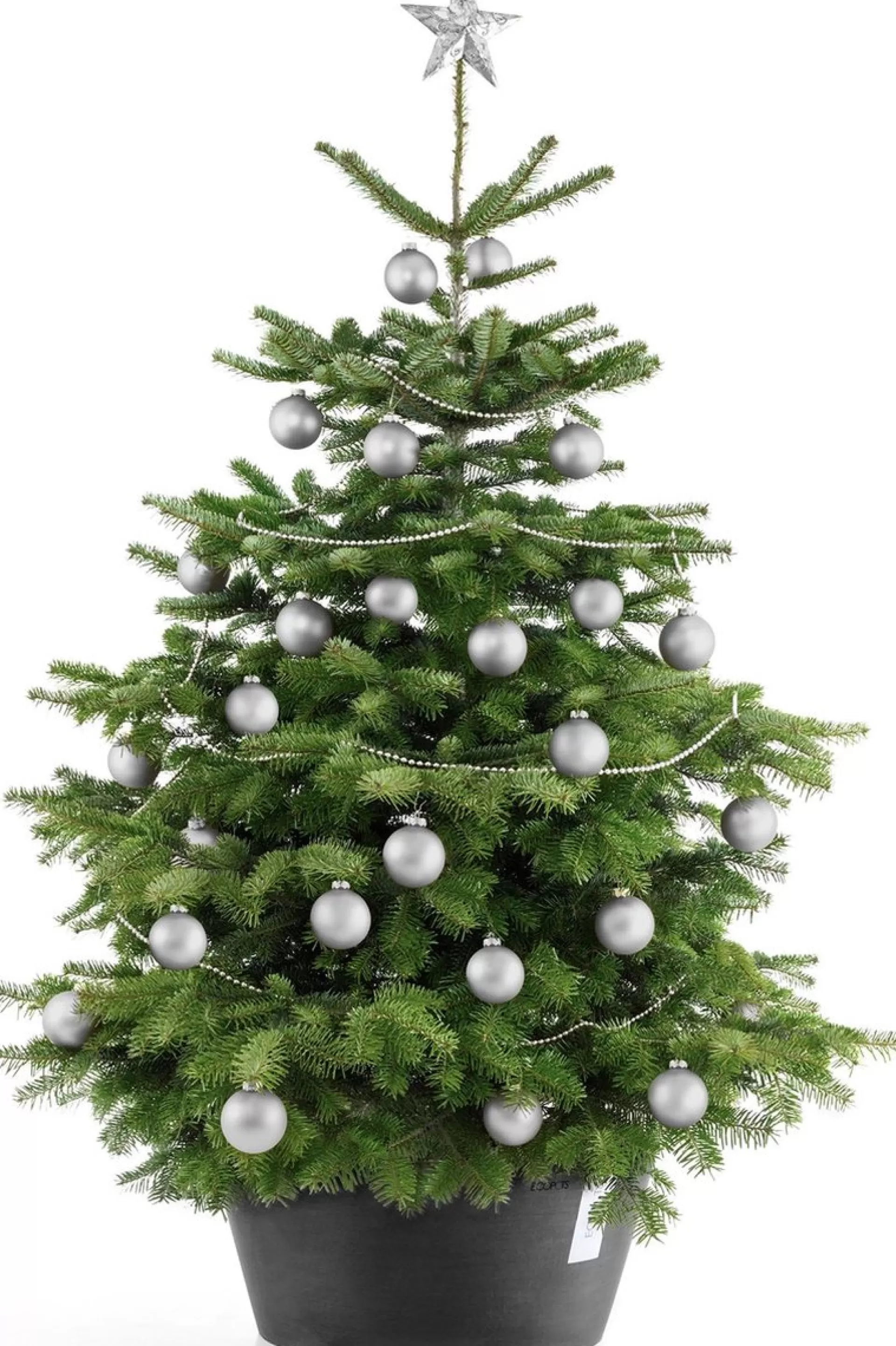 Ecopots Kerstboomvoet Xl Dark O 50Cm Sale