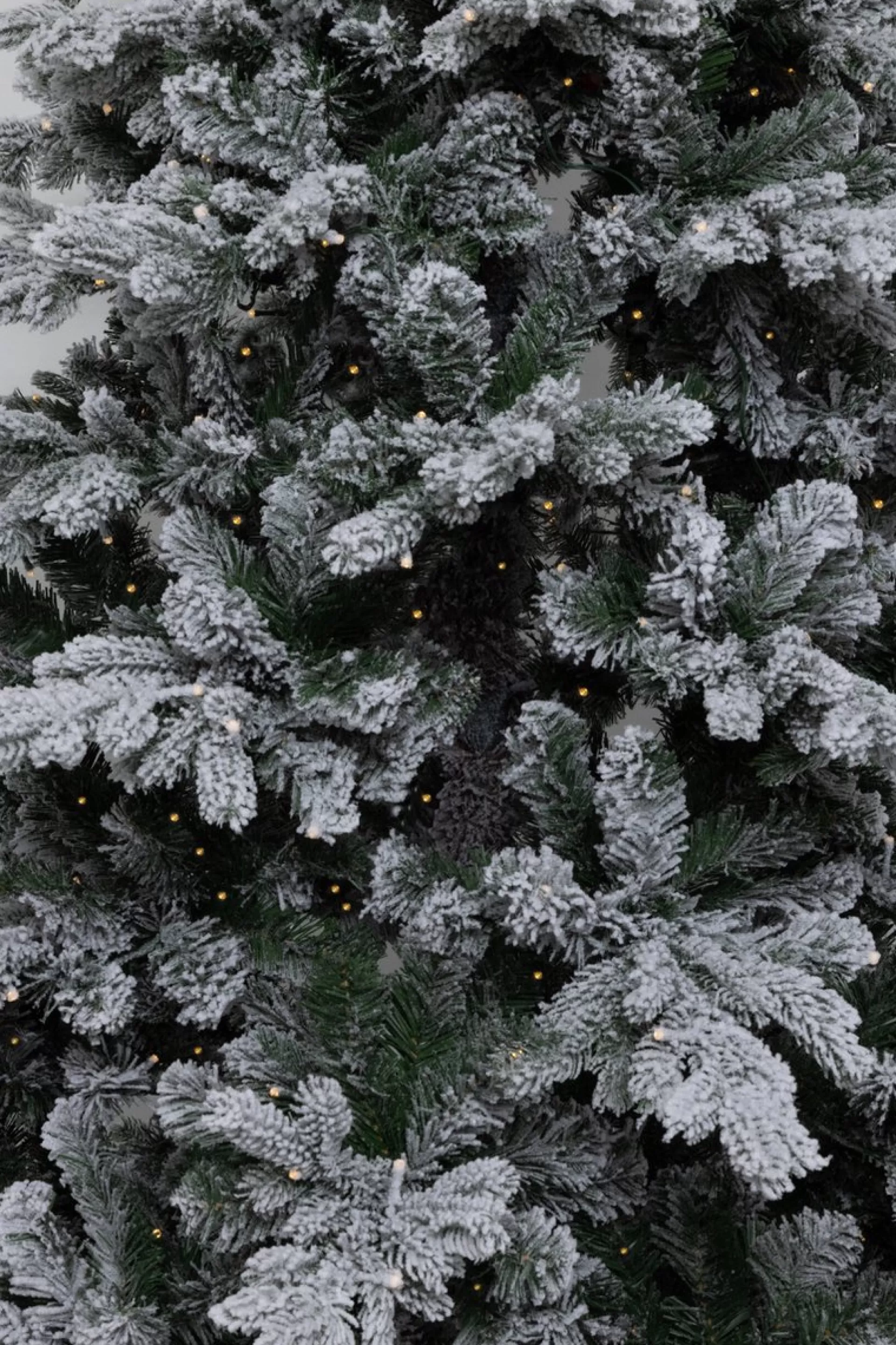 KJ Kunstkerstbomen – Spitsbergen Flock De Luxe Besneeuwde Kunstkerstboom - 240 Cm - Met Inclusief Led Verlichting 570 Led-Lampjes – 2351 Pe En Pvc Takken Flash Sale