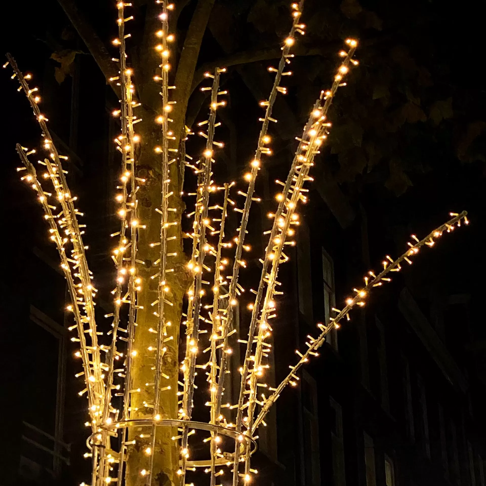 Solistech Kerstlichtsnoeren>Led Kerstverlichting Eter Koppelbaar - 50 Lichtpuntjes - Ip65 Waterdicht - Warm Wit 2700K - Hoogwaardige Rubberen Kabel - Energiezuinig 3W - Incl. Stekker 5 M