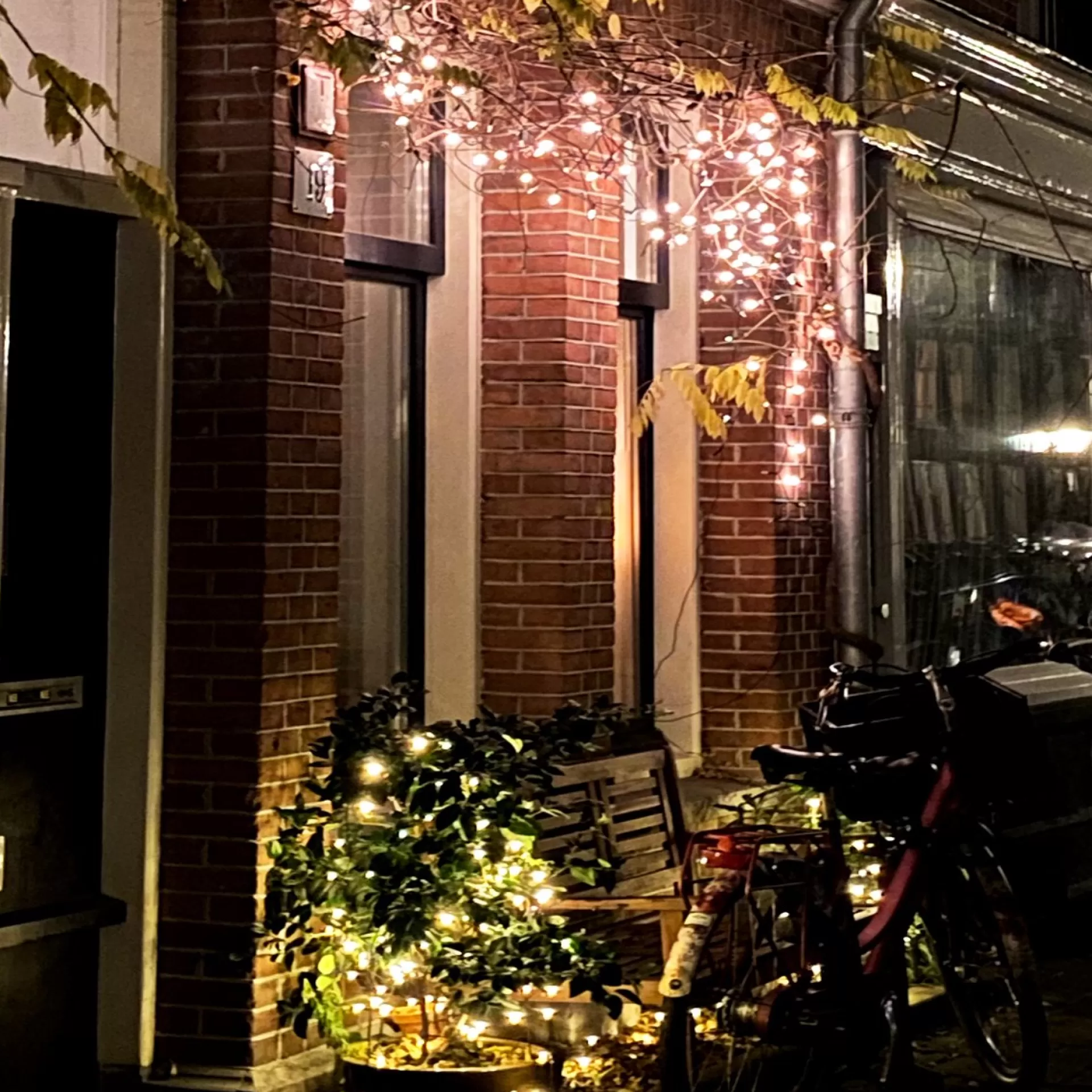 Solistech Kerstlichtsnoeren>Led Kerstverlichting Eter Koppelbaar - 50 Lichtpuntjes - Ip65 Waterdicht - Warm Wit 2700K - Hoogwaardige Rubberen Kabel - Energiezuinig 3W - Incl. Stekker 5 M