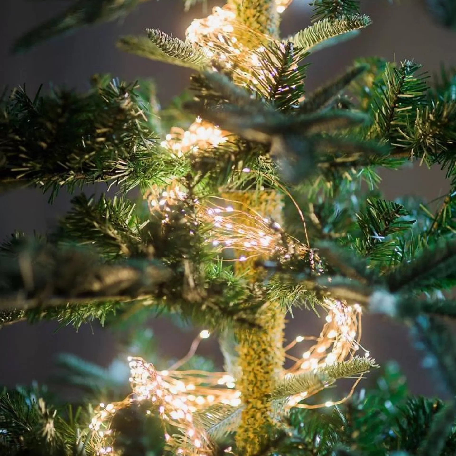 Sofisticade Kerstlichtsnoeren>Lichtsnoer Bundel Led - Fairy Lights - 10 X 80Cm Met 80 Leds - Werkt Op 3 Aa Batterijen (Gratis Erbij) - Timer Functie - Kerstverlichting - Decoratie En Sfeerverlichting - Partylights