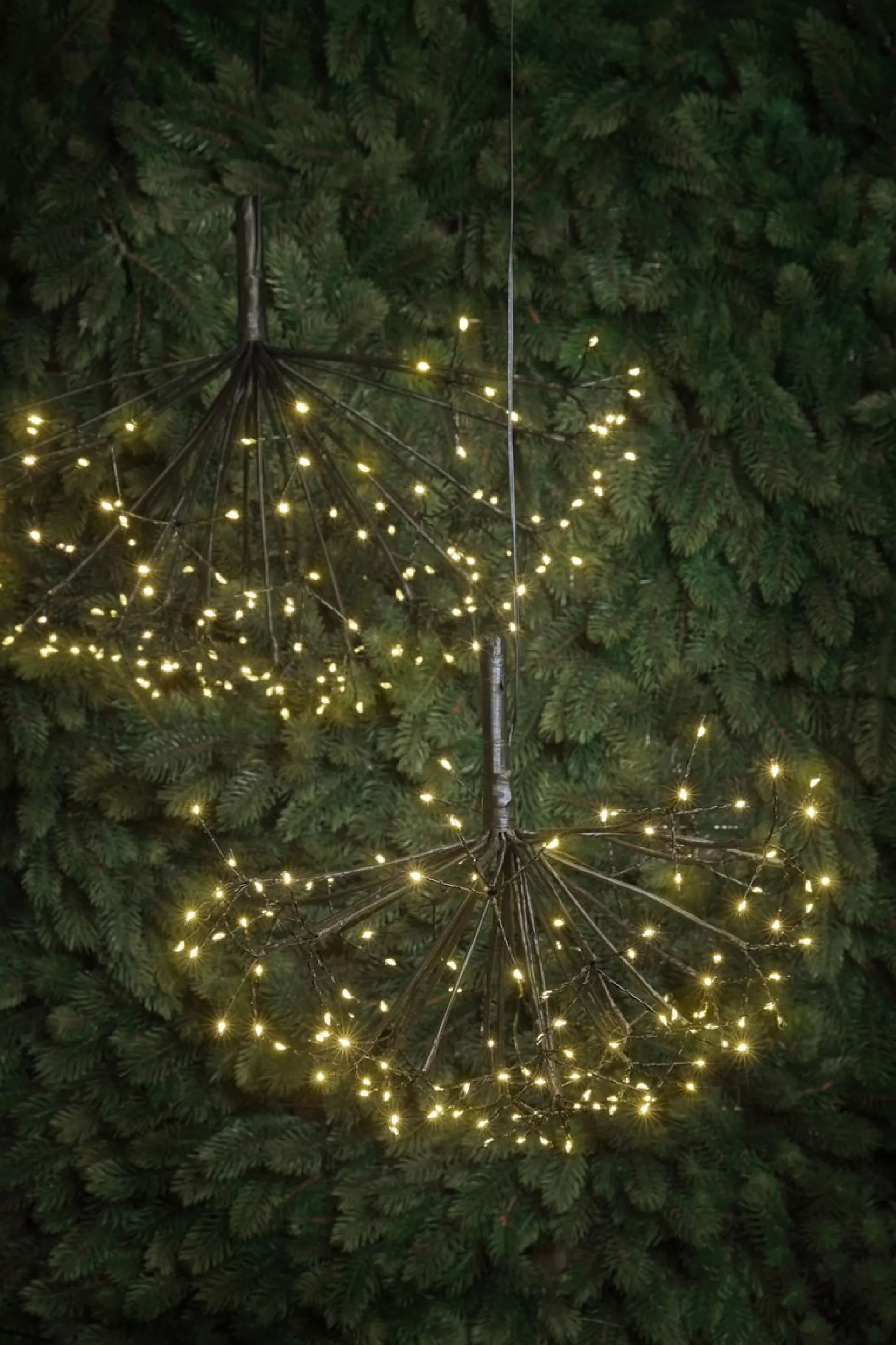 Luca lighting Kerstverlichting Paardenbloem Met 150 Warm Witte Led Lampjes - O58 Cm - Zilver Sale