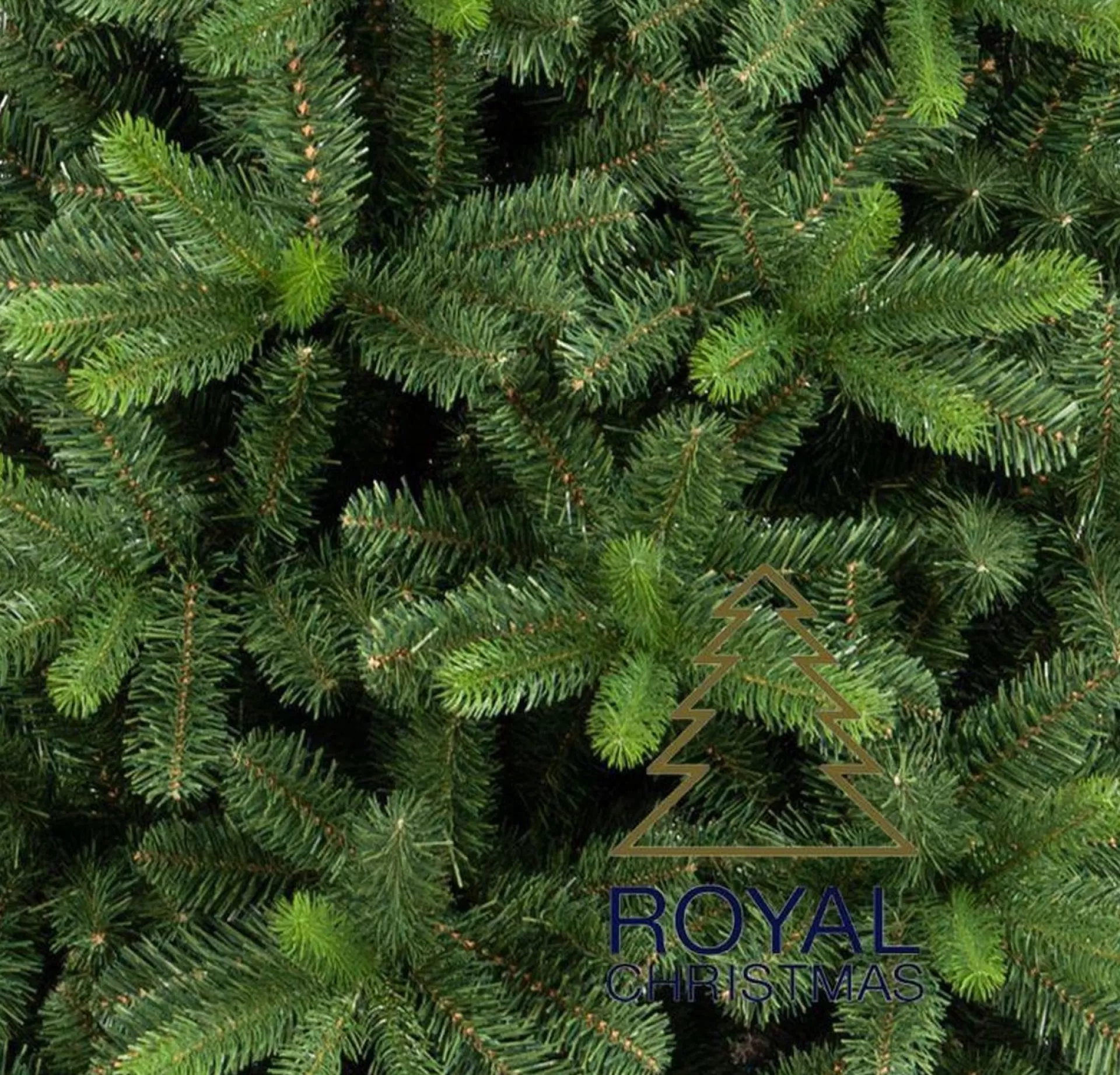 Royal Christmas - Natuurlijke Kunstkerstboom - Bergen Pe / Pvc Premium 210 Cm - 1139 Takken Groen Store