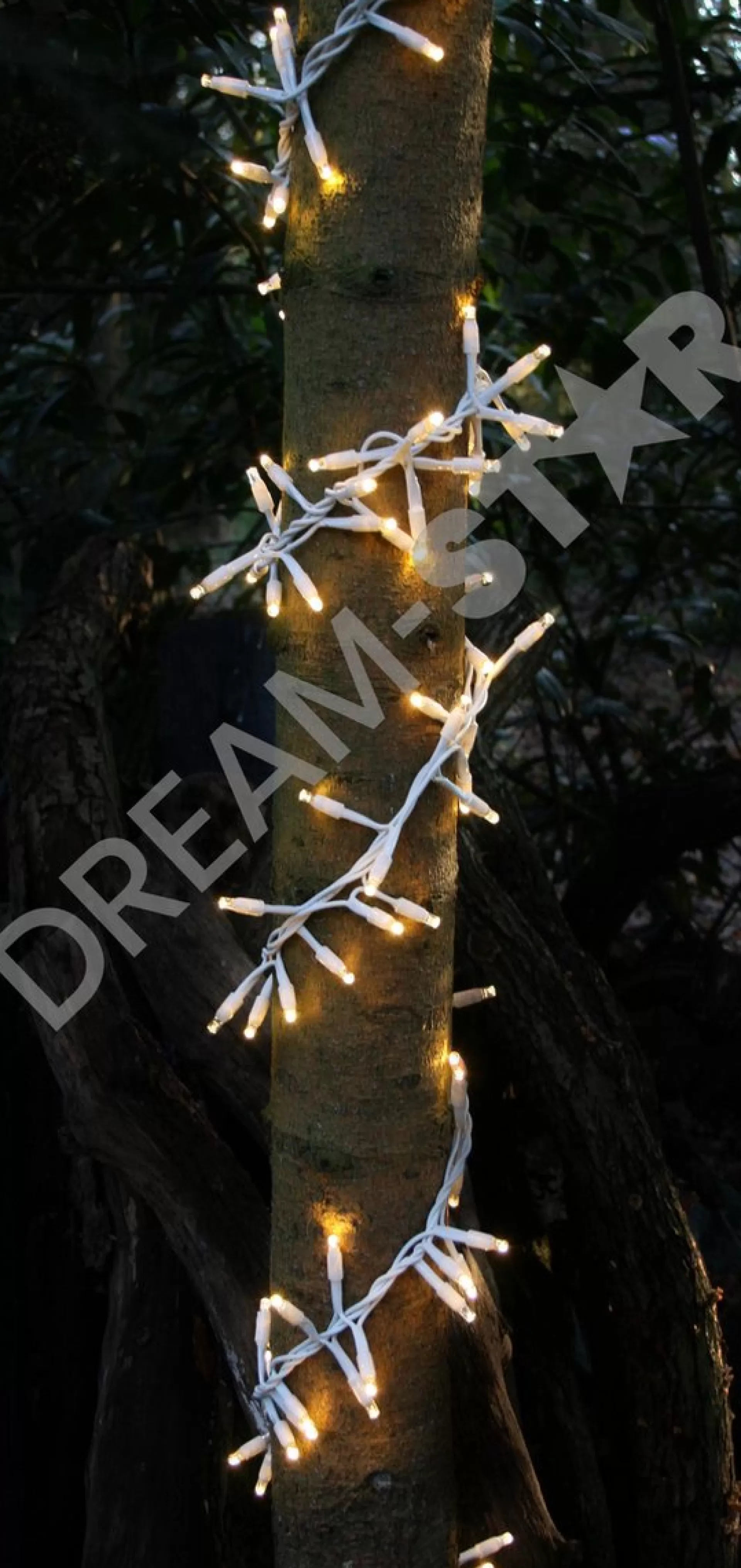 Silver winglinks Kerstlichtsnoeren>Silver Wing Links Cluster Verlichting 2M - Witte Kabel - Warmwit - Koppelbare Verlichting