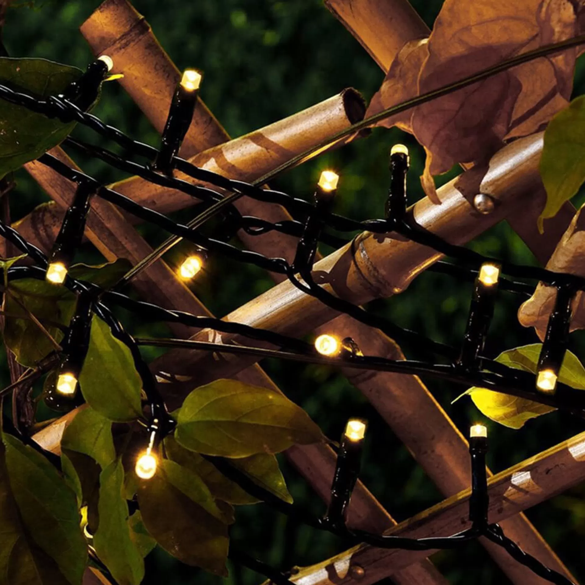 Rextech Kerstlichtsnoeren>Solar Tuinverlichting Lichtsnoer Holly - 100 Leds - Warm Wit Licht - Op Zonne-Energie