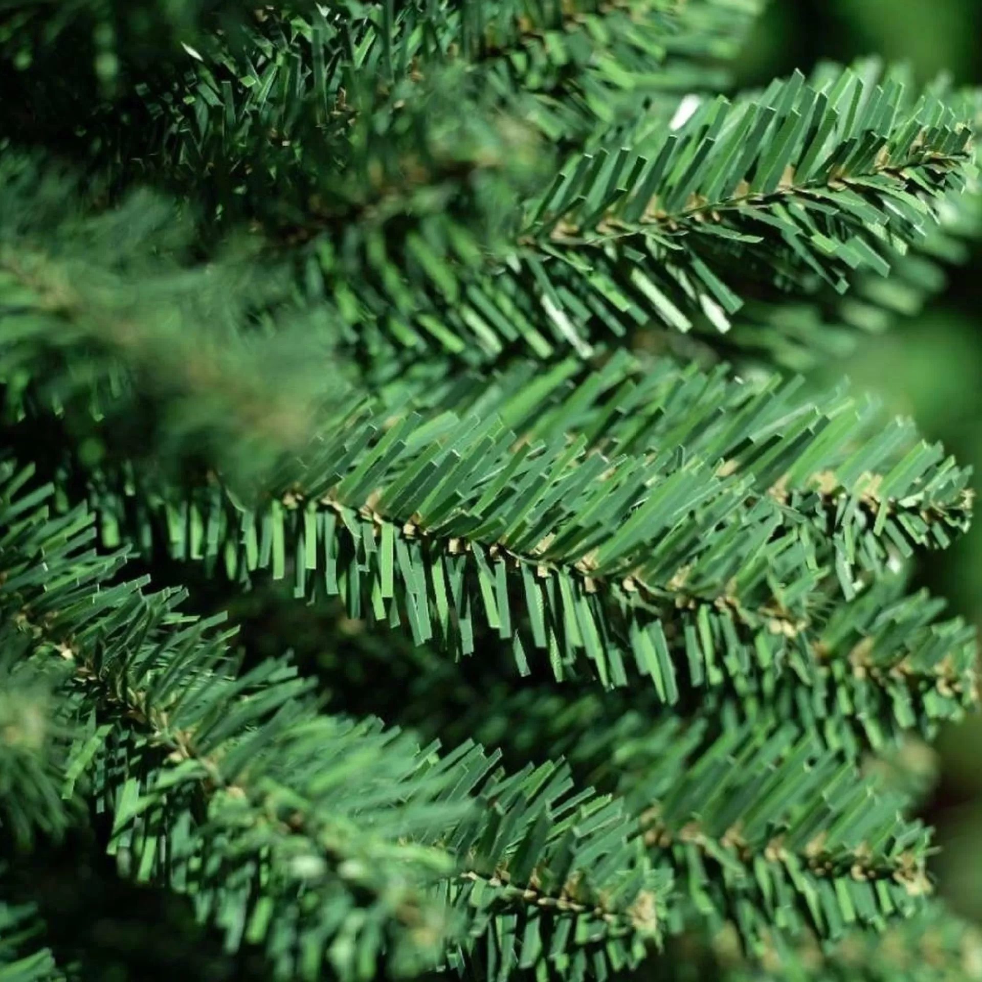 Everlands Treb Classic Pencil Pine Kunstkerstboom - 180 Cm Hoog - Zonder Verlichting Online