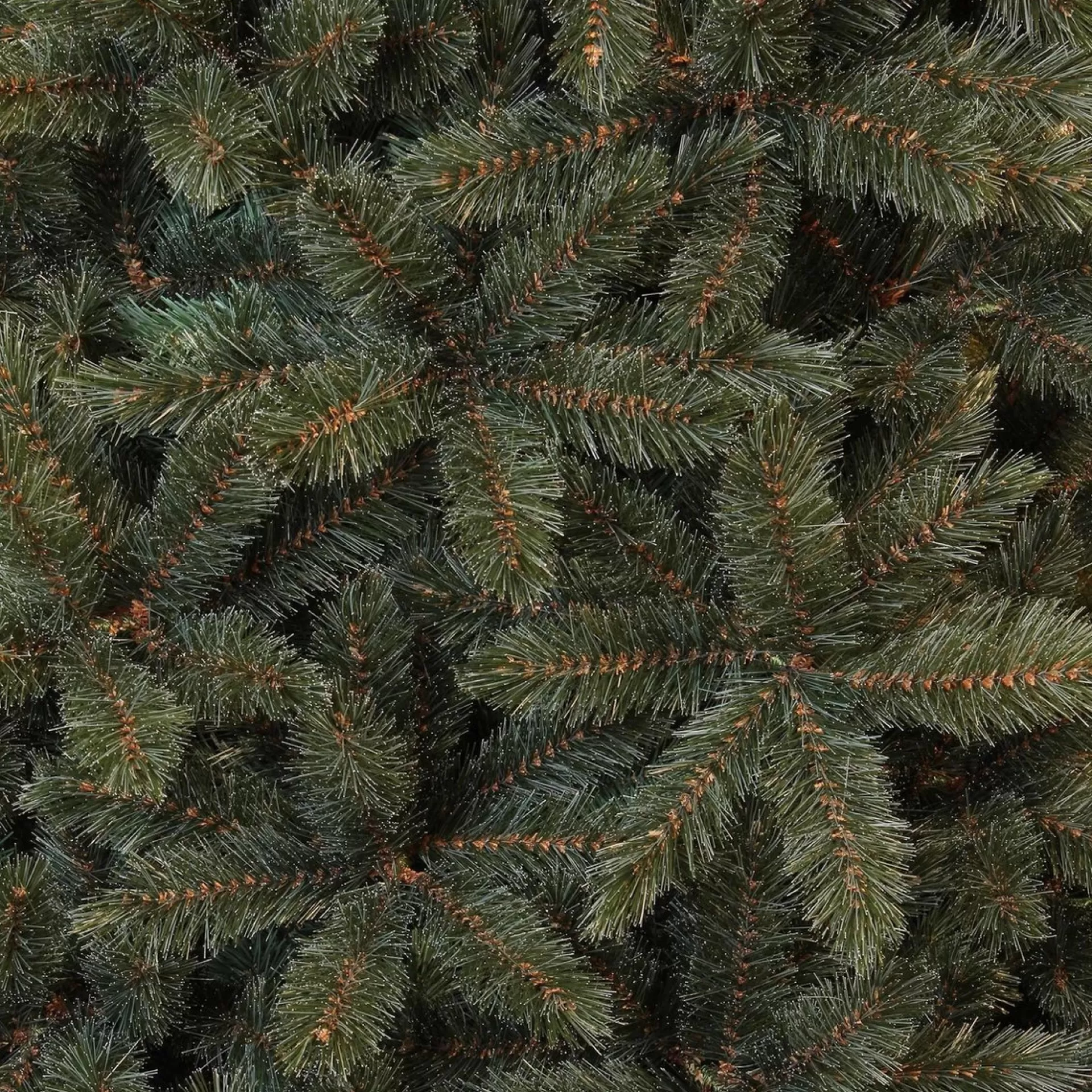 Triumph Tree - Forest Frosted Blauw Kerstboom Hoogte 120 Cm Flash Sale