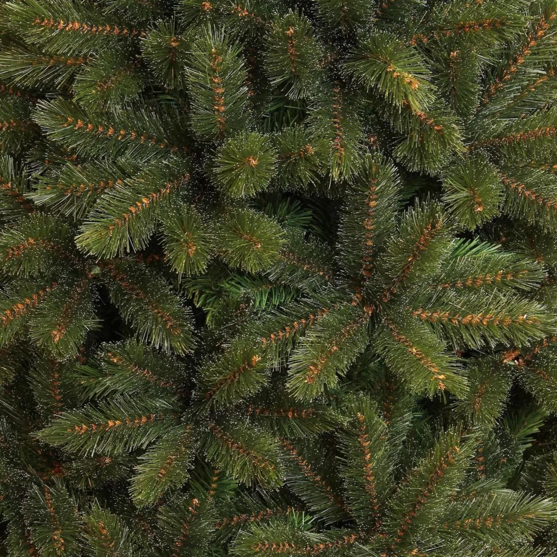 Triumph Tree - Forest Frosted Pine Kerstboom Groen - H305Xd188Cm Outlet