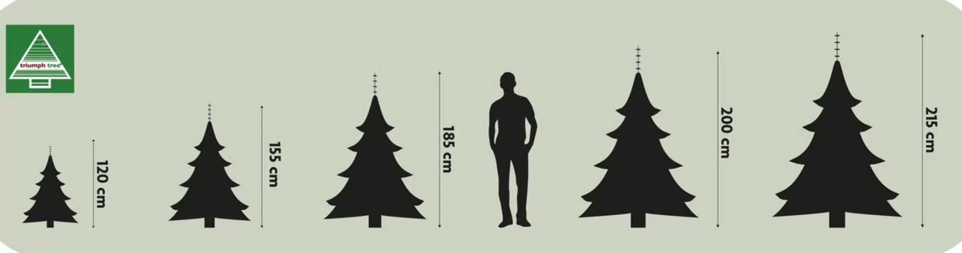 Triumph Tree - Kerstboom Forest Frosted H185D130 Newgrowth Blue Tips 942 Best