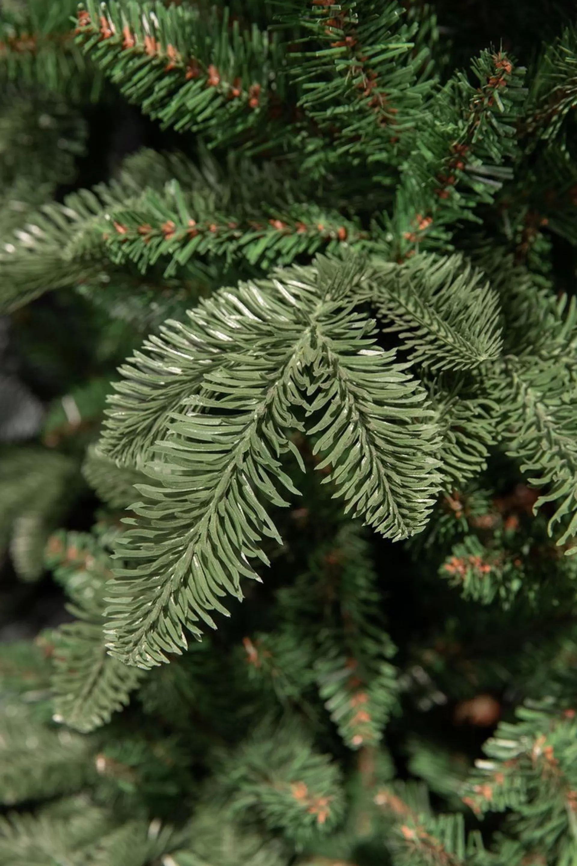 Triumph Tree Abies Nordmann Deluxe Kunstkerstboom - H60 X O53 Cm - Groen Shop