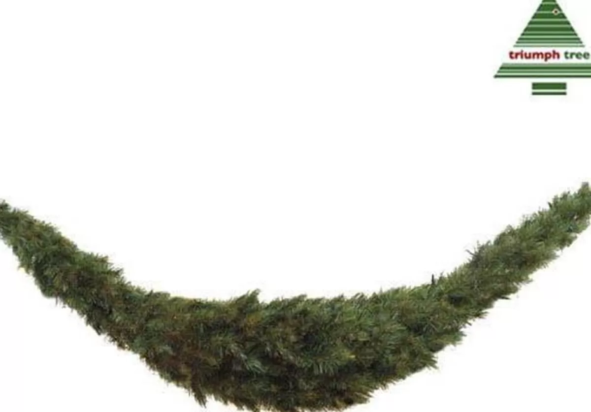 Triumph Tree Guirlandes> Forest Frosted Guirlande Swag - L180 Cm - Groen