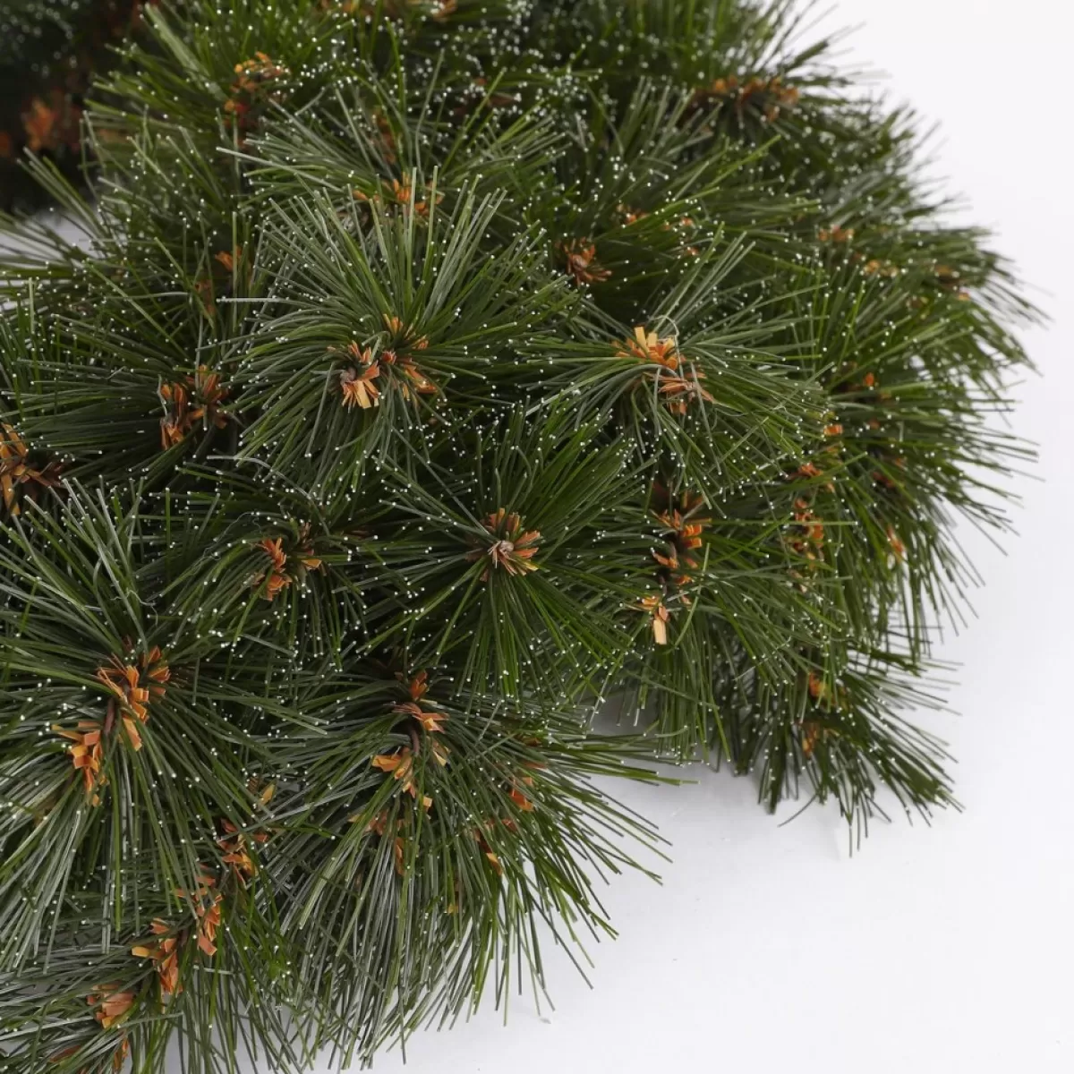 Triumph Tree Kerstkransen> Forest Frosted Kerstkrans - O45 Cm - Groen