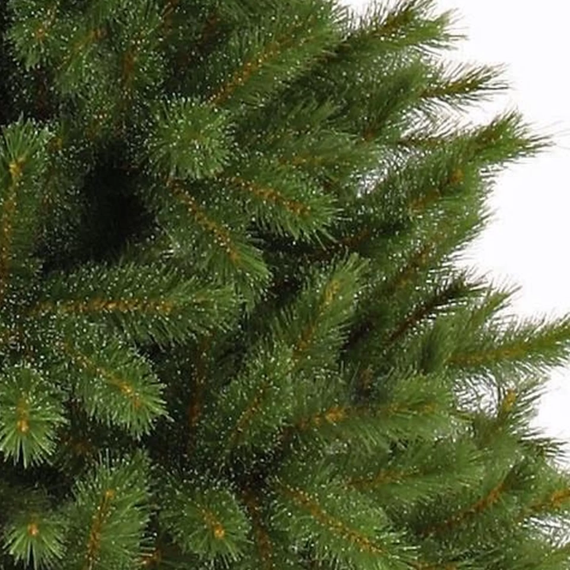 Triumph Tree Forest Frosted Kunstkerstboom - H155 X O119 Cm - Groen Store